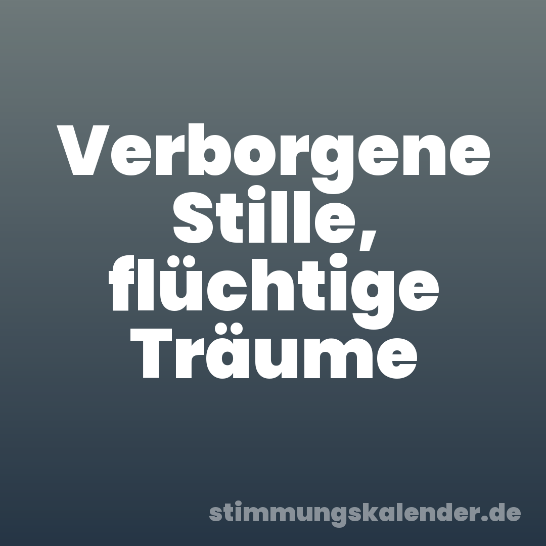 Verborgene Stille, flüchtige Träume