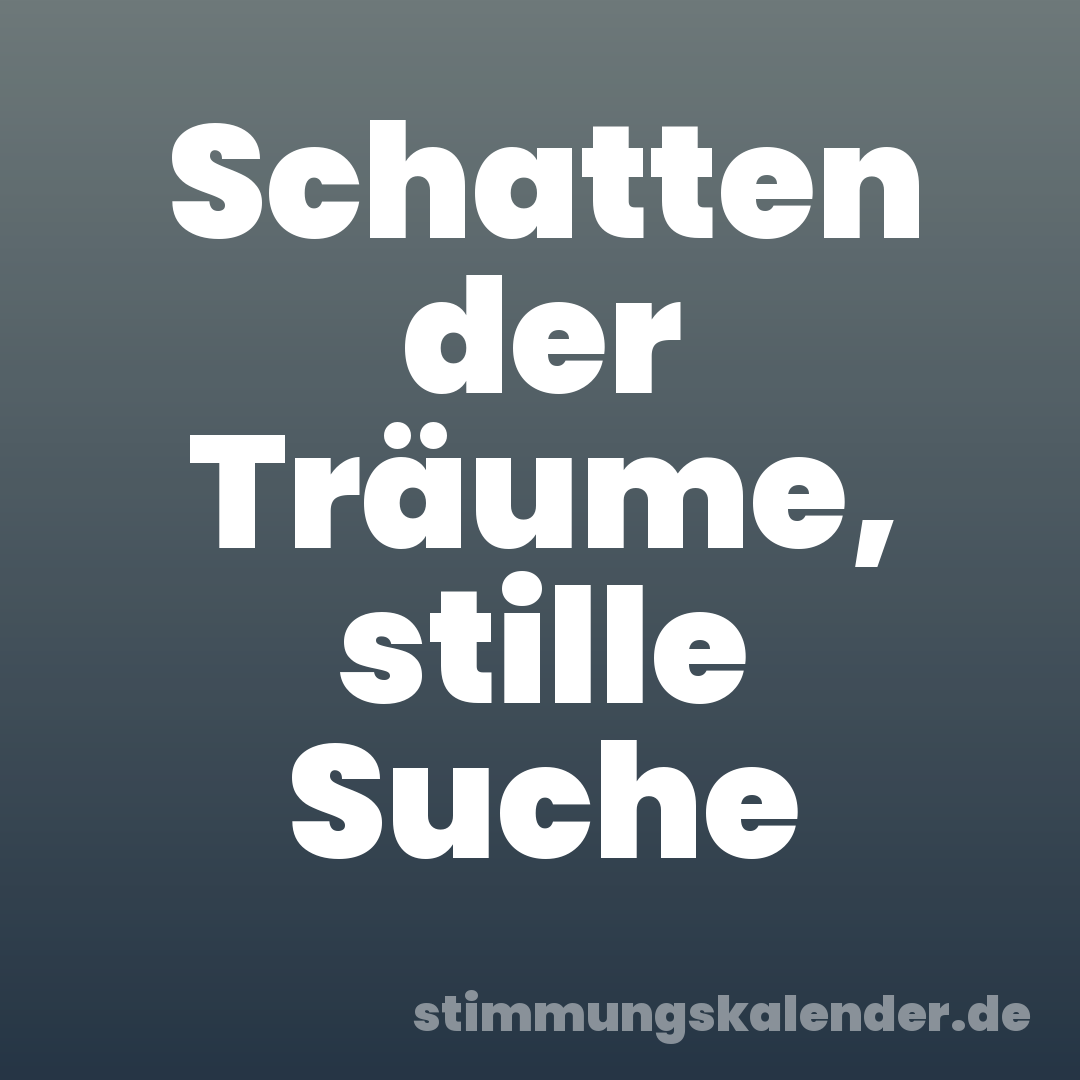 Schatten der Träume, stille Suche