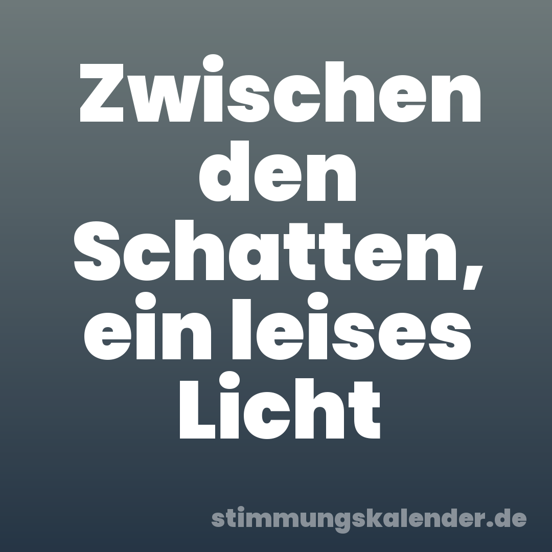 Zwischen den Schatten, ein leises Licht