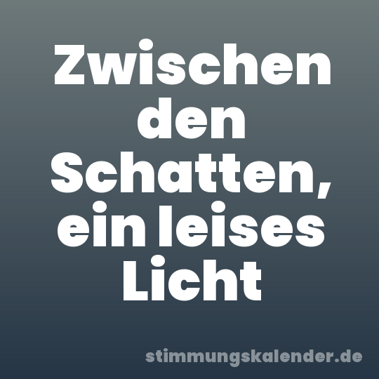 Zwischen den Schatten, ein leises Licht