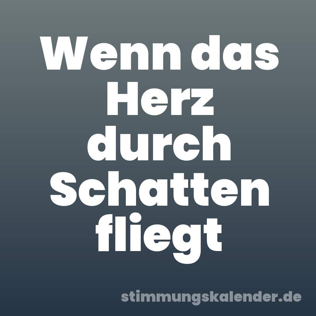 Wenn das Herz durch Schatten fliegt