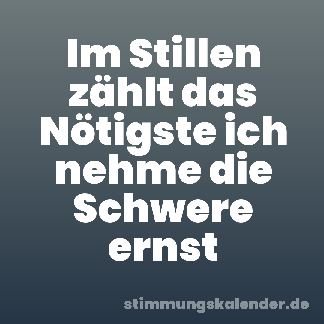 Im Stillen zählt das Nötigste ich nehme die Schwere ernst