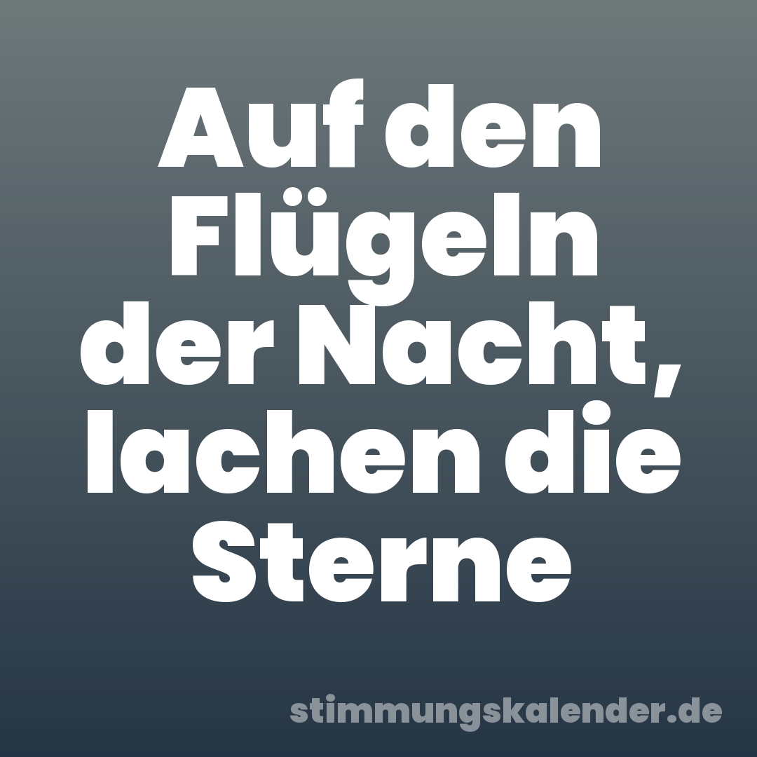 Auf den Flügeln der Nacht, lachen die Sterne