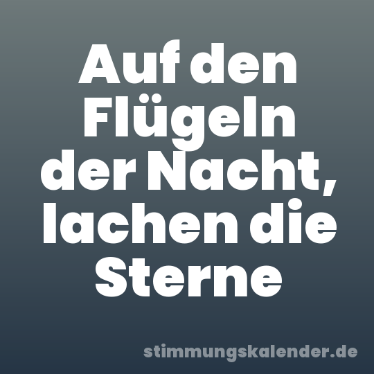 Auf den Flügeln der Nacht, lachen die Sterne