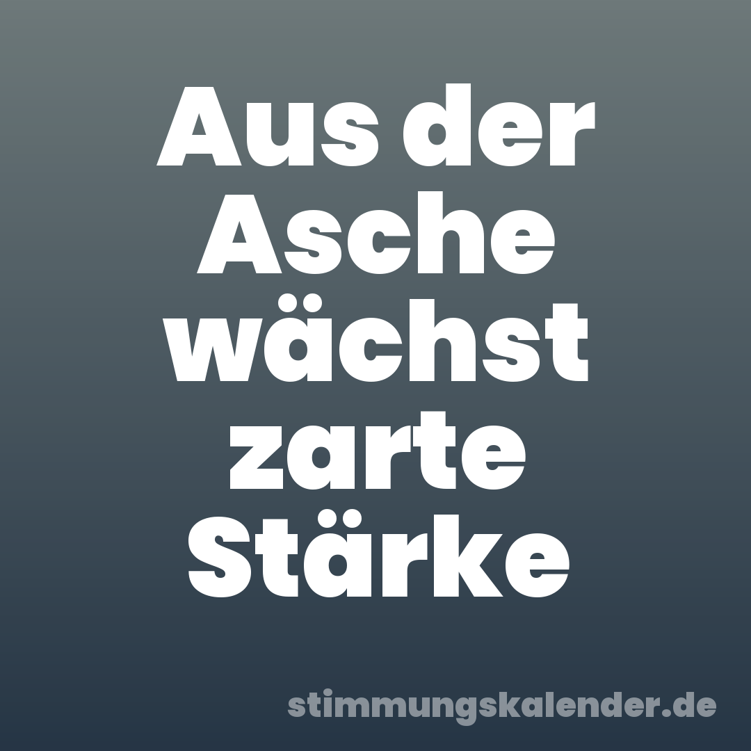 Aus der Asche wächst zarte Stärke