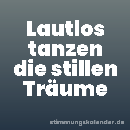 Lautlos tanzen die stillen Träume
