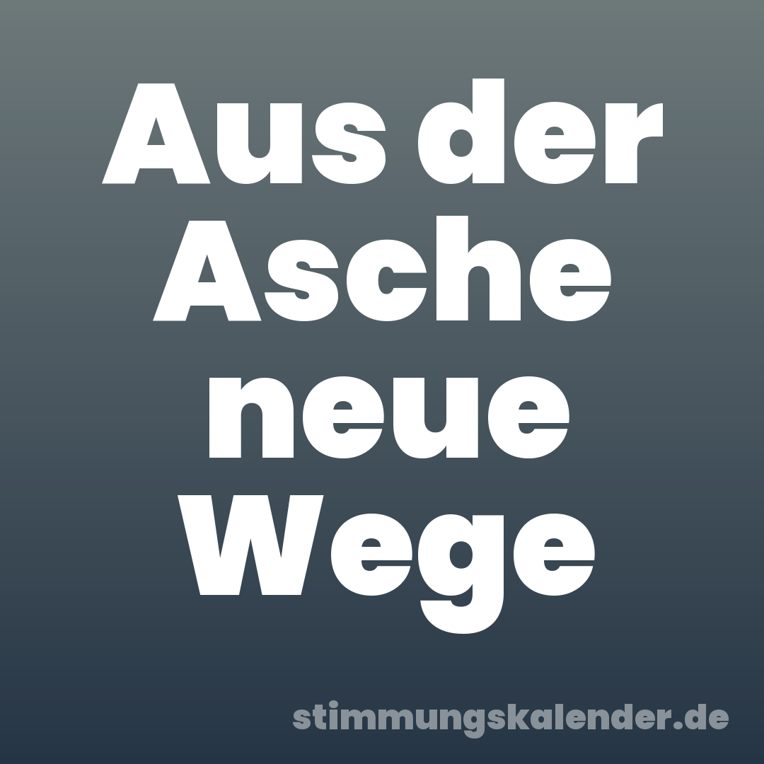 Aus der Asche neue Wege