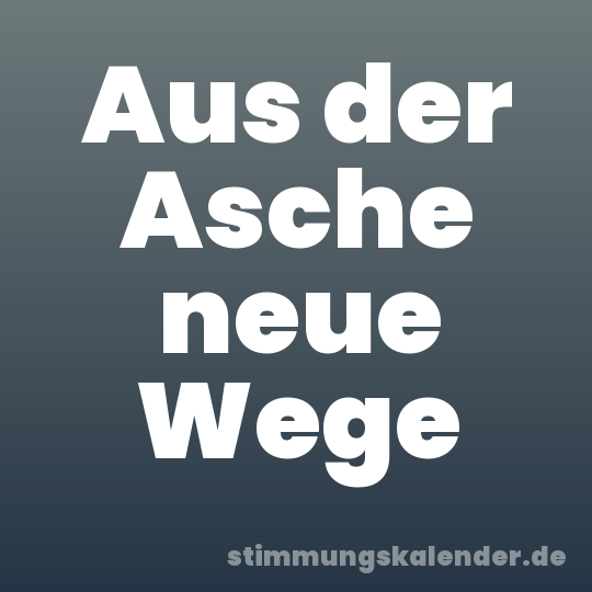 Aus der Asche neue Wege