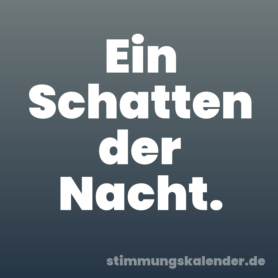 Ein Schatten der Nacht.