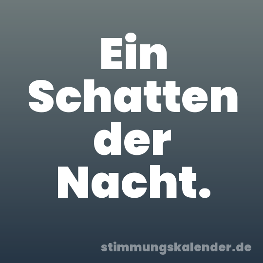 Ein Schatten der Nacht.