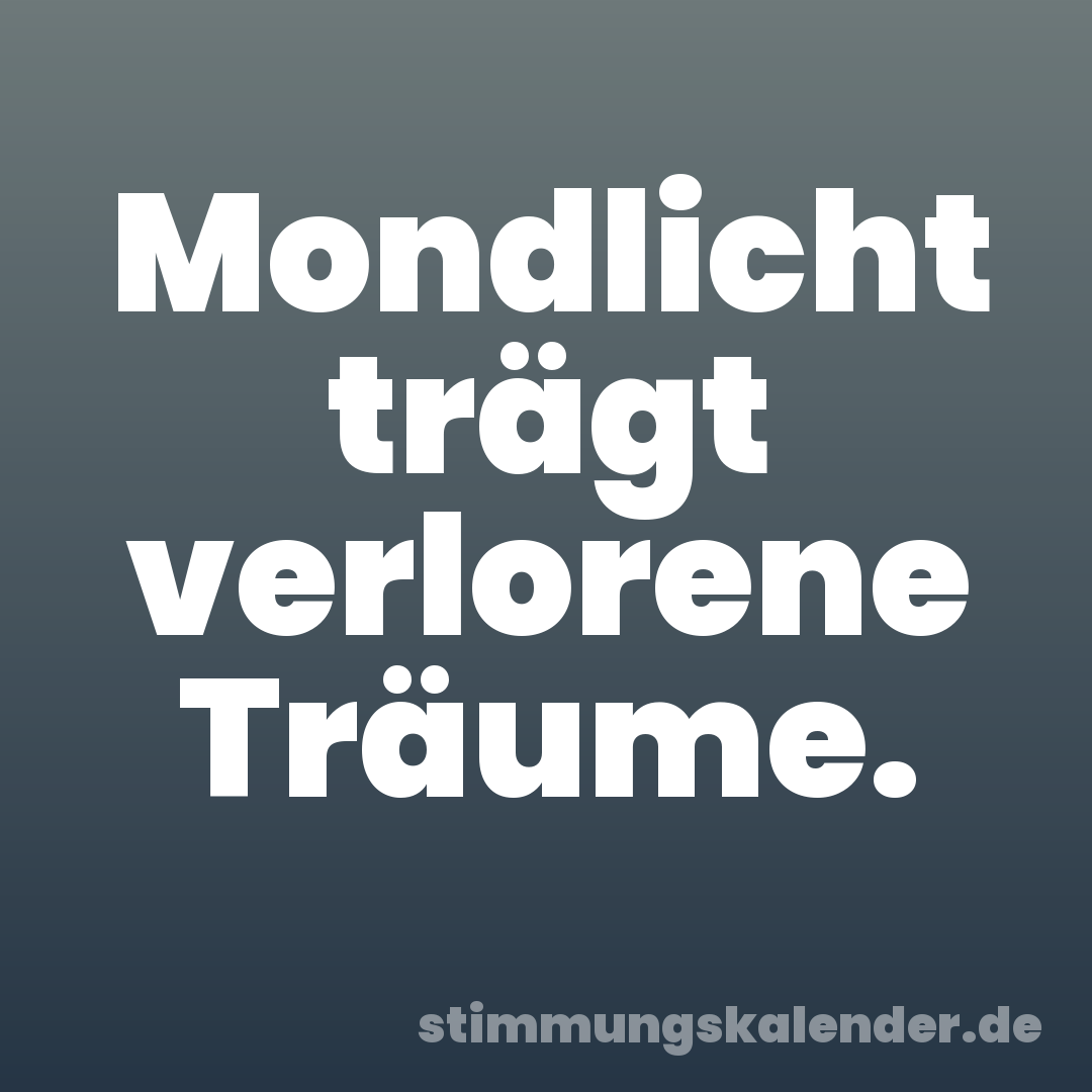 Mondlicht trägt verlorene Träume.