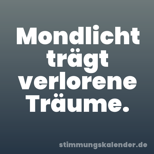Mondlicht trägt verlorene Träume.