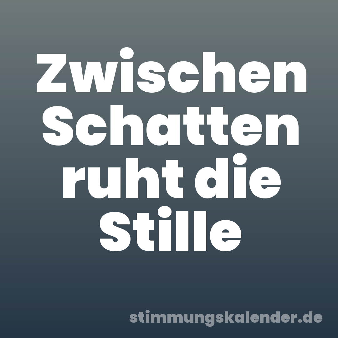 Zwischen Schatten ruht die Stille