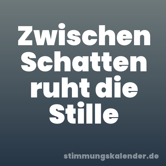 Zwischen Schatten ruht die Stille
