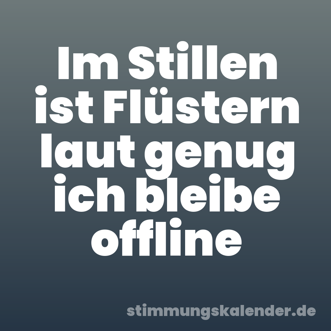 Im Stillen ist Flüstern laut genug ich bleibe offline