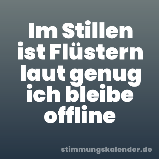 Im Stillen ist Flüstern laut genug ich bleibe offline