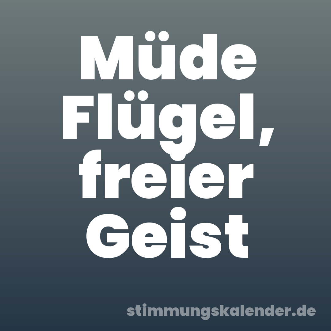 Müde Flügel, freier Geist
