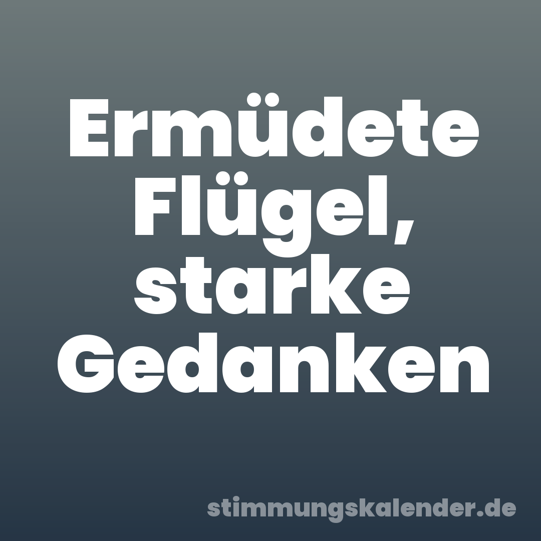 Ermüdete Flügel, starke Gedanken