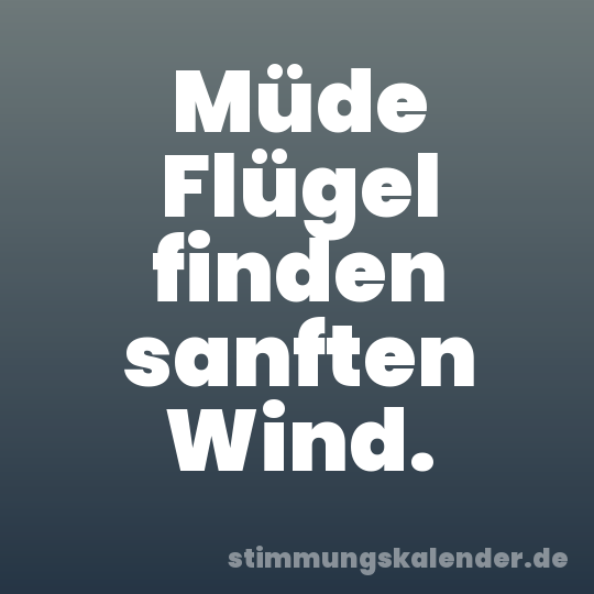 Müde Flügel finden sanften Wind.