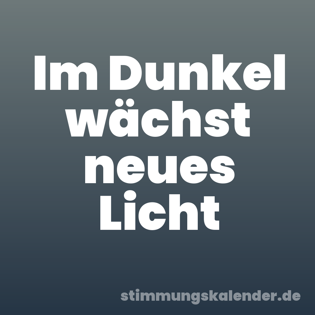 Im Dunkel wächst neues Licht