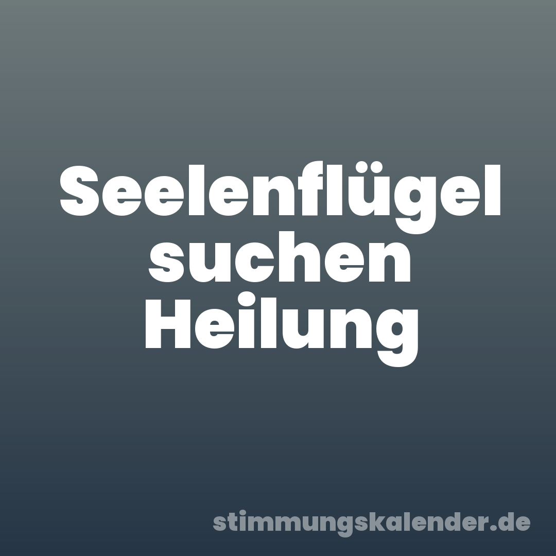 Seelenflügel suchen Heilung