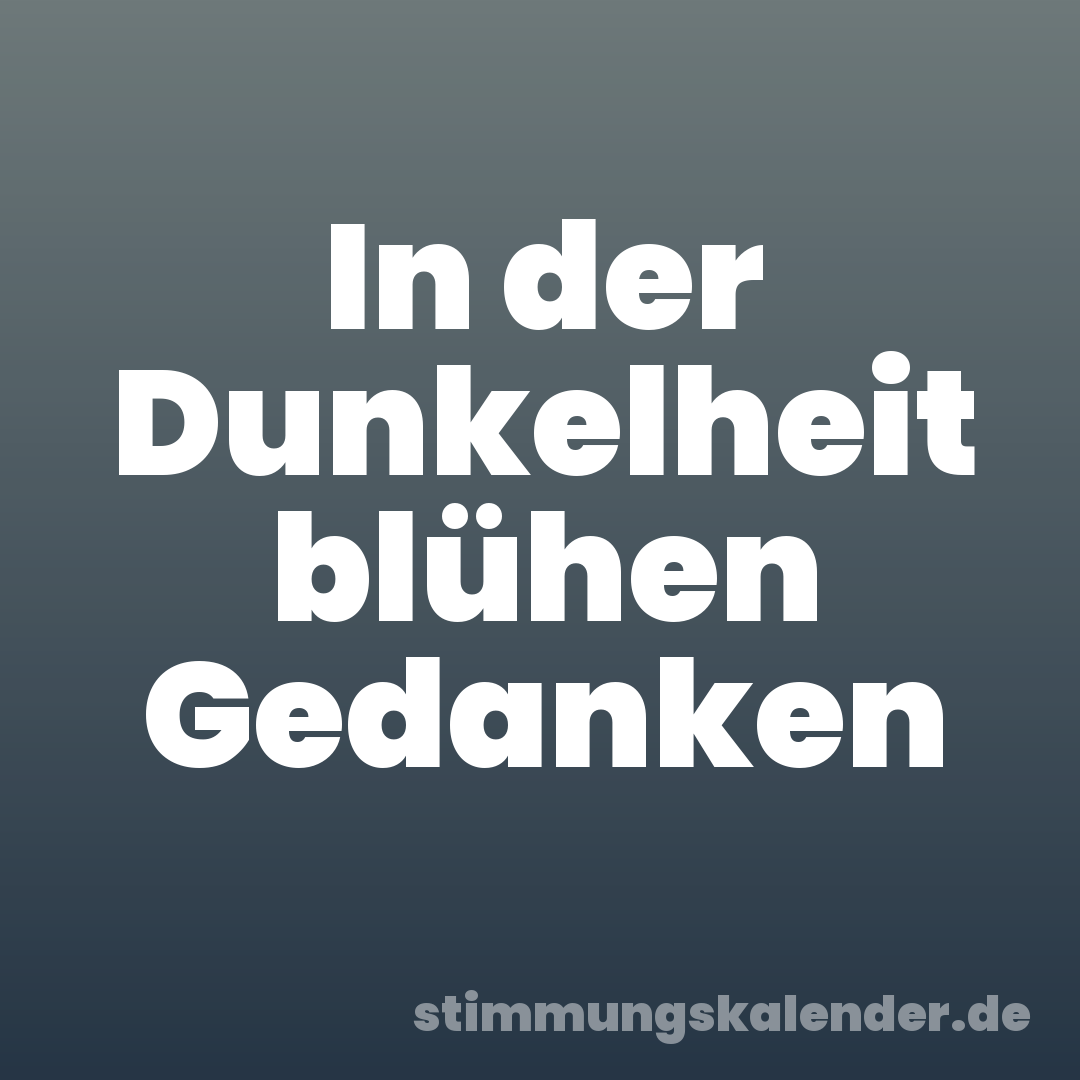 In der Dunkelheit blühen Gedanken