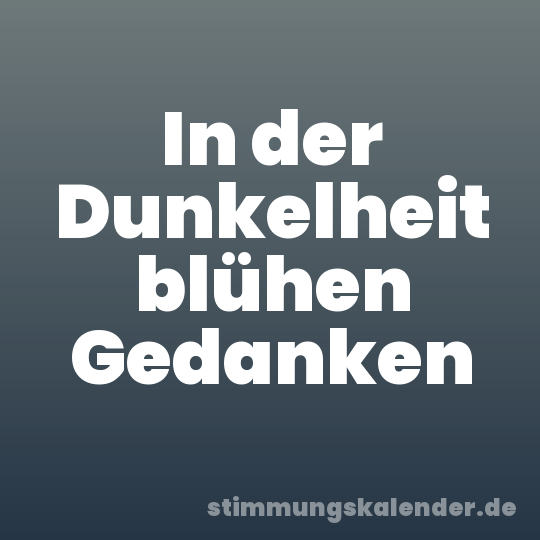In der Dunkelheit blühen Gedanken
