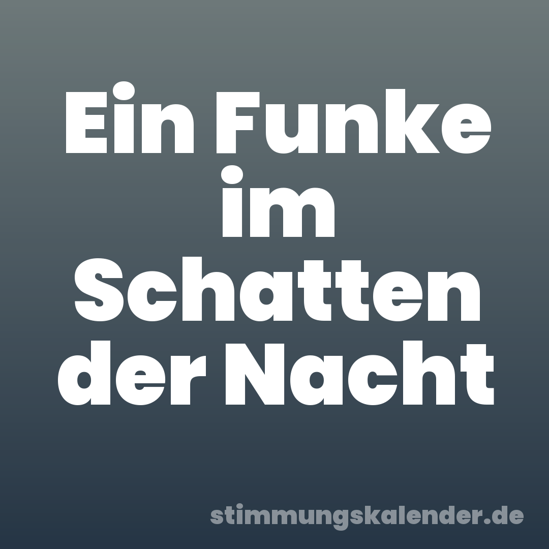 Ein Funke im Schatten der Nacht