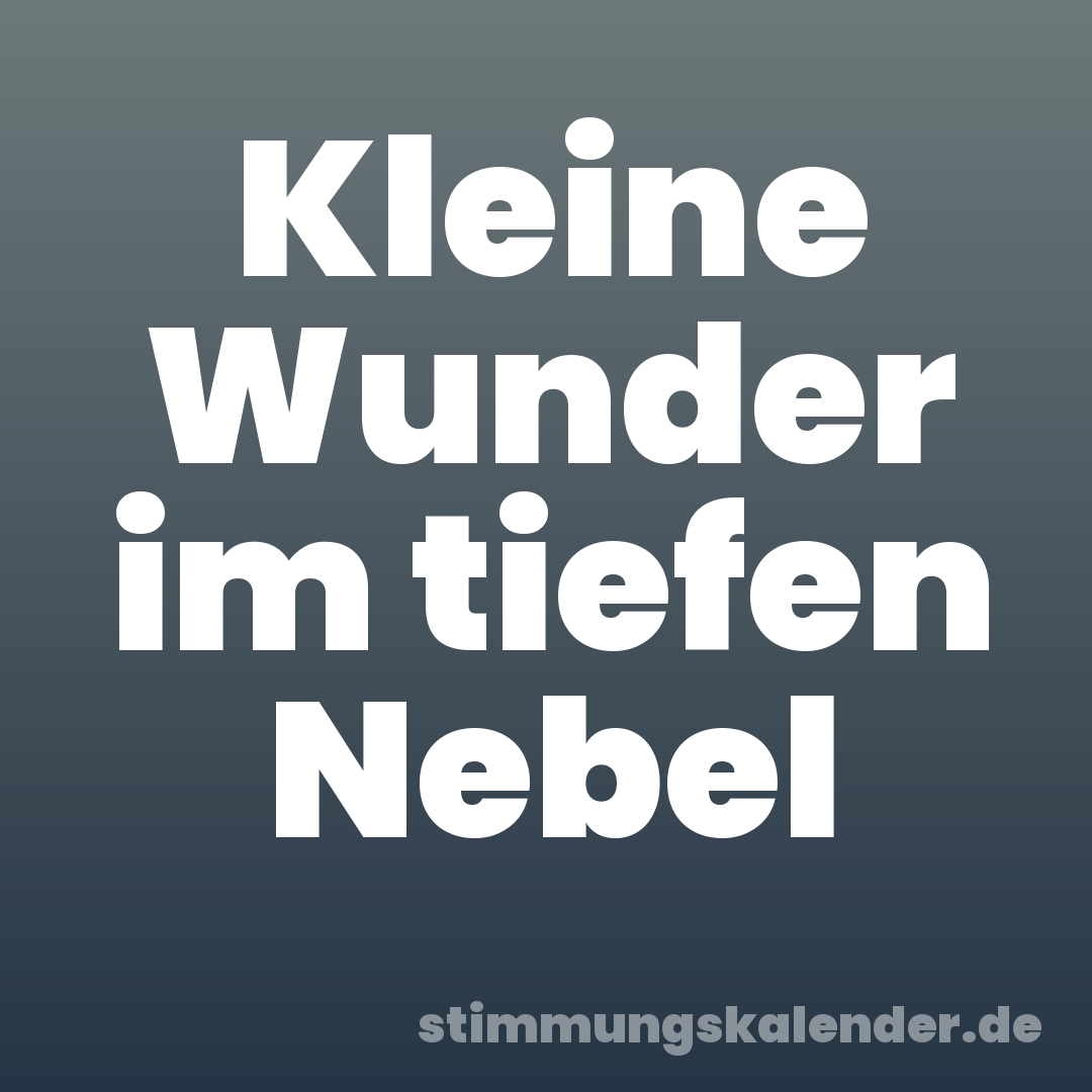 Kleine Wunder im tiefen Nebel