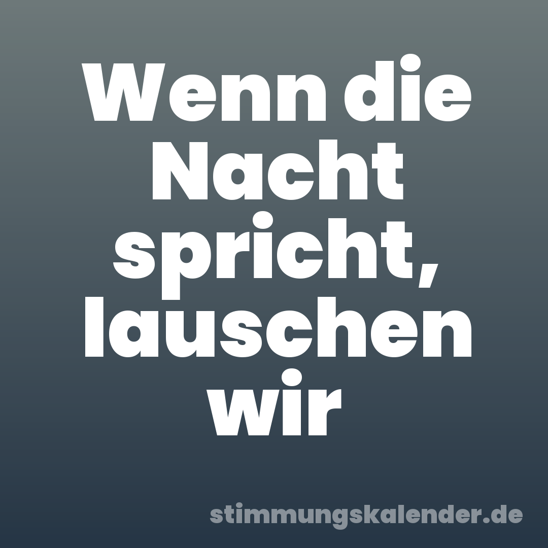 Wenn die Nacht spricht, lauschen wir