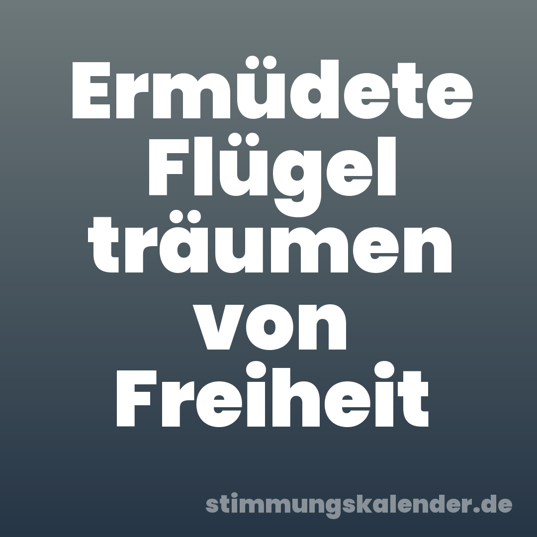 Ermüdete Flügel träumen von Freiheit