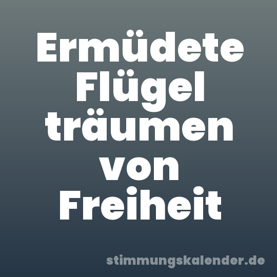 Ermüdete Flügel träumen von Freiheit