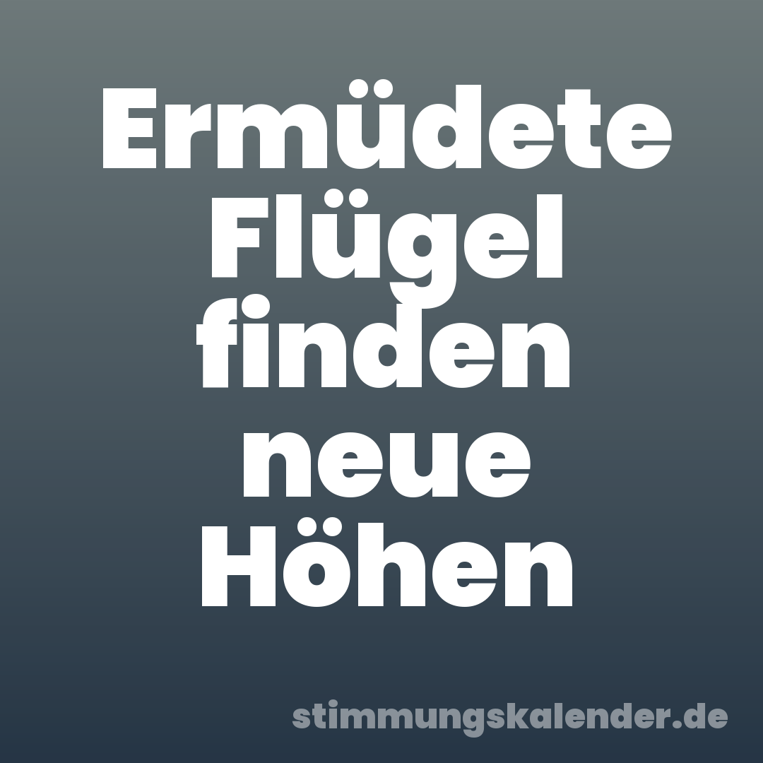 Ermüdete Flügel finden neue Höhen