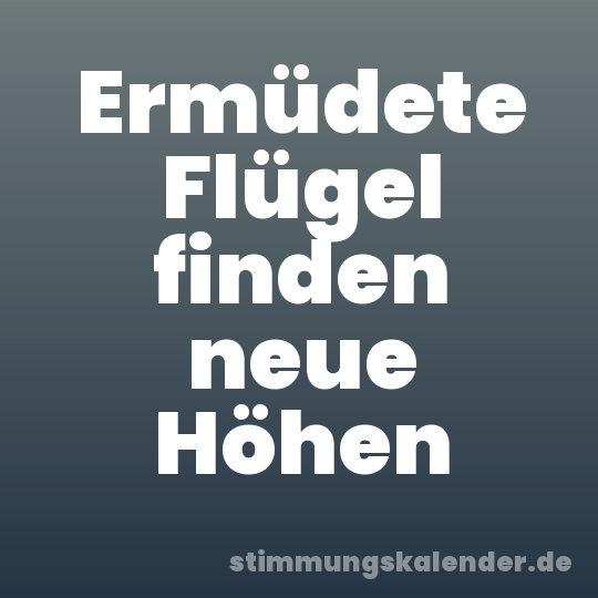 Ermüdete Flügel finden neue Höhen