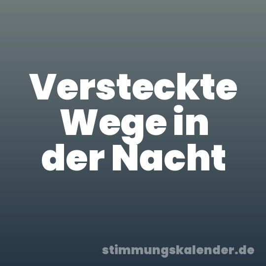 Versteckte Wege in der Nacht