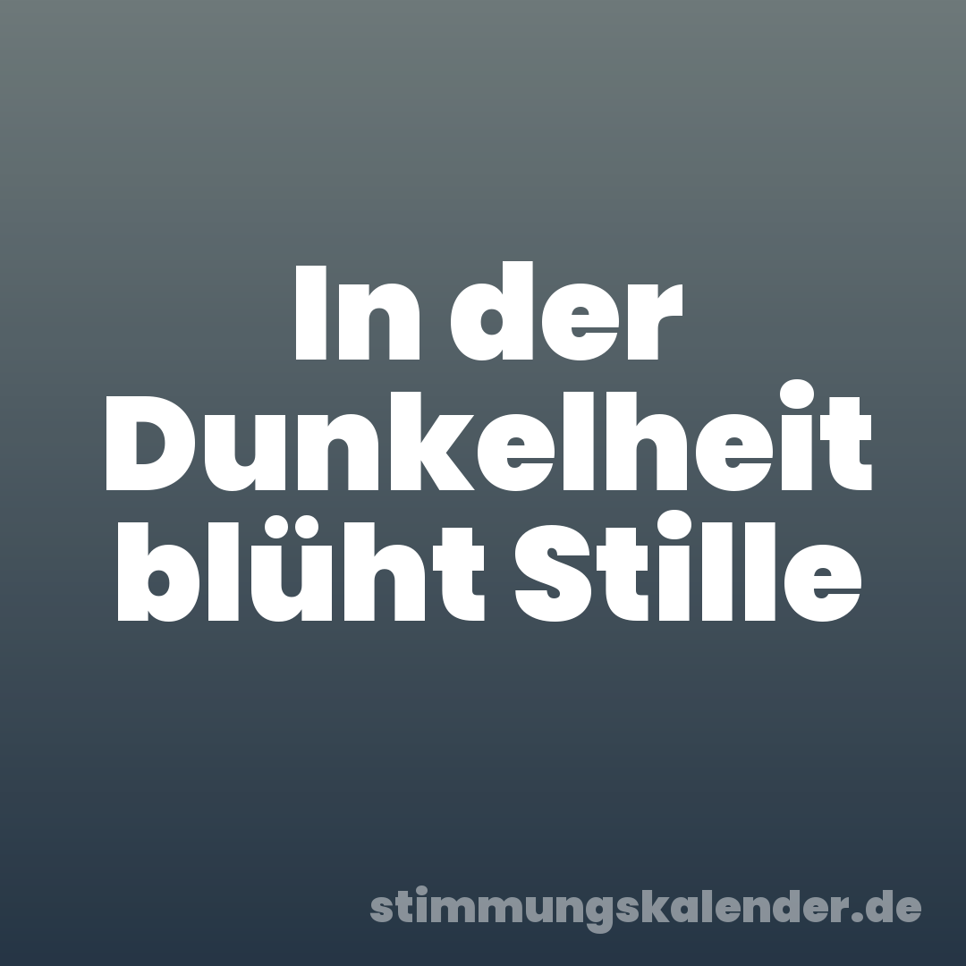 In der Dunkelheit blüht Stille