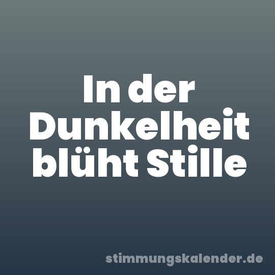 In der Dunkelheit blüht Stille
