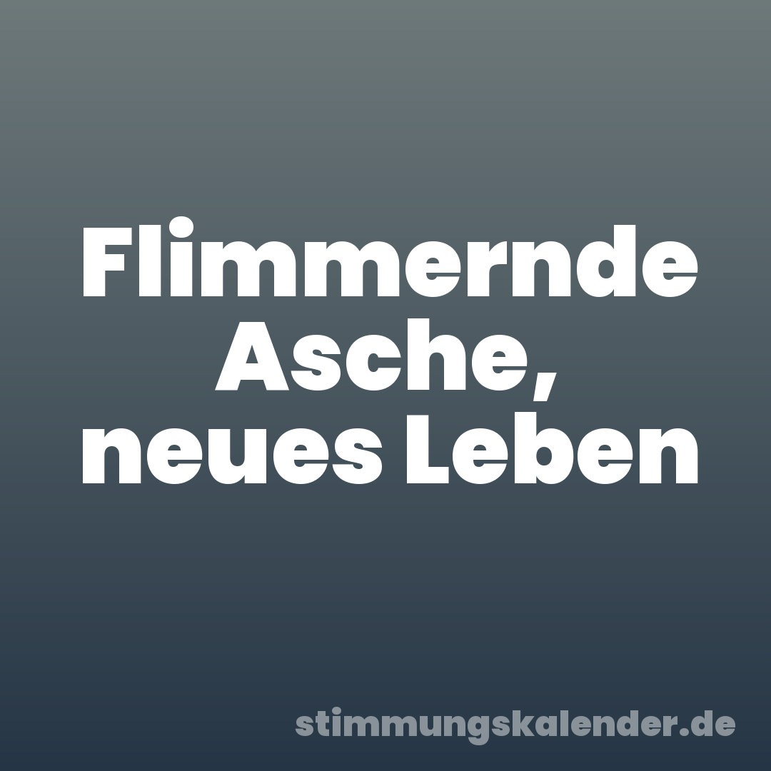 Flimmernde Asche, neues Leben