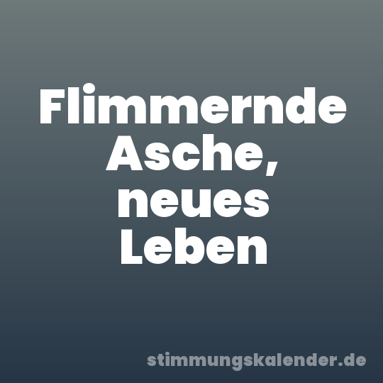 Flimmernde Asche, neues Leben