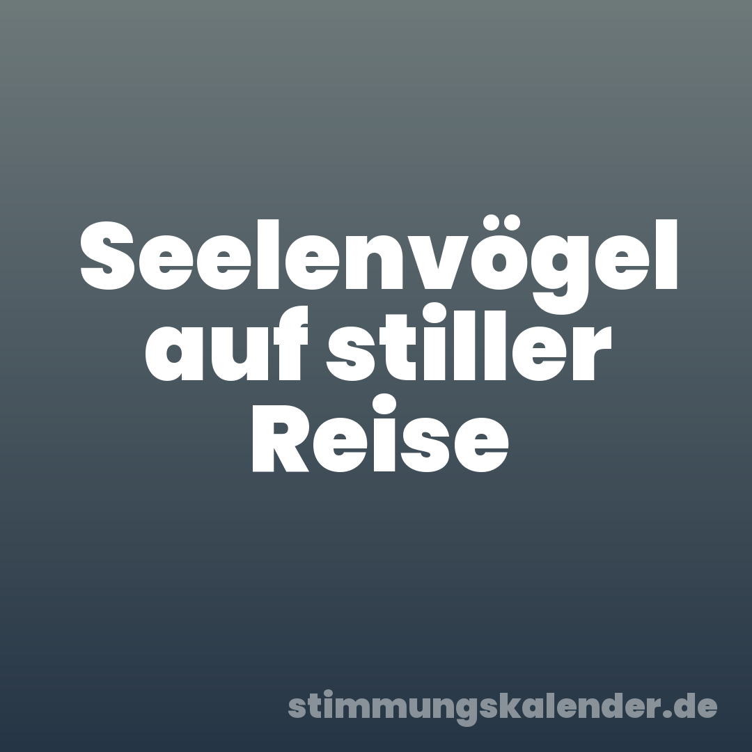 Seelenvögel auf stiller Reise