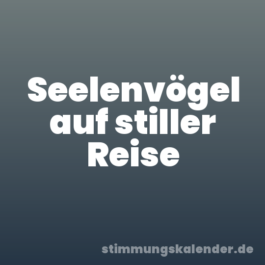 Seelenvögel auf stiller Reise