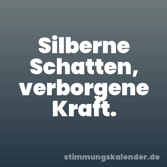 Silberne Schatten, verborgene Kraft.