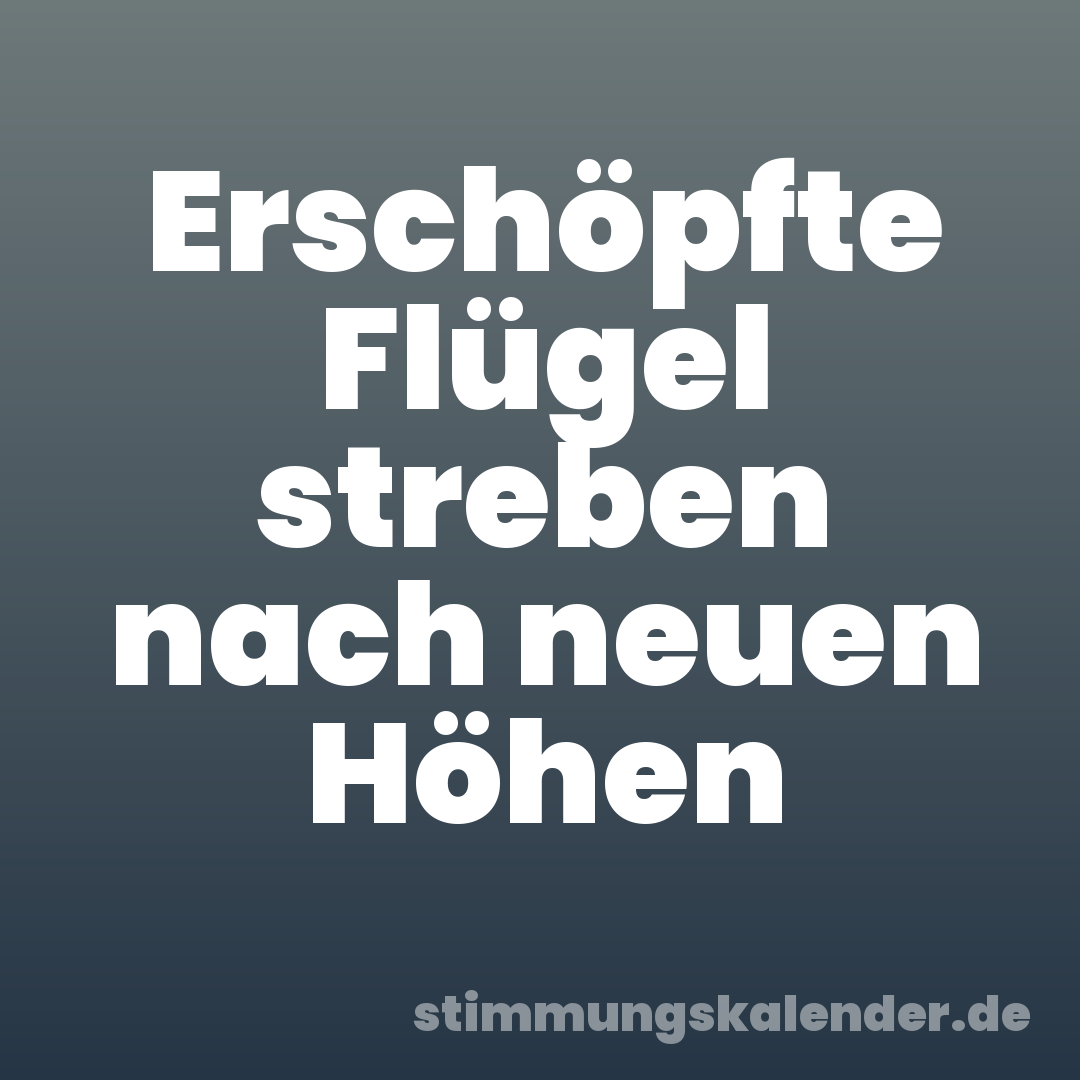 Erschöpfte Flügel streben nach neuen Höhen