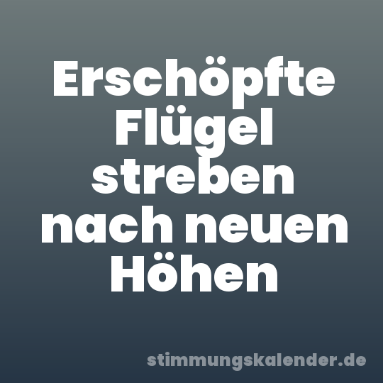 Erschöpfte Flügel streben nach neuen Höhen