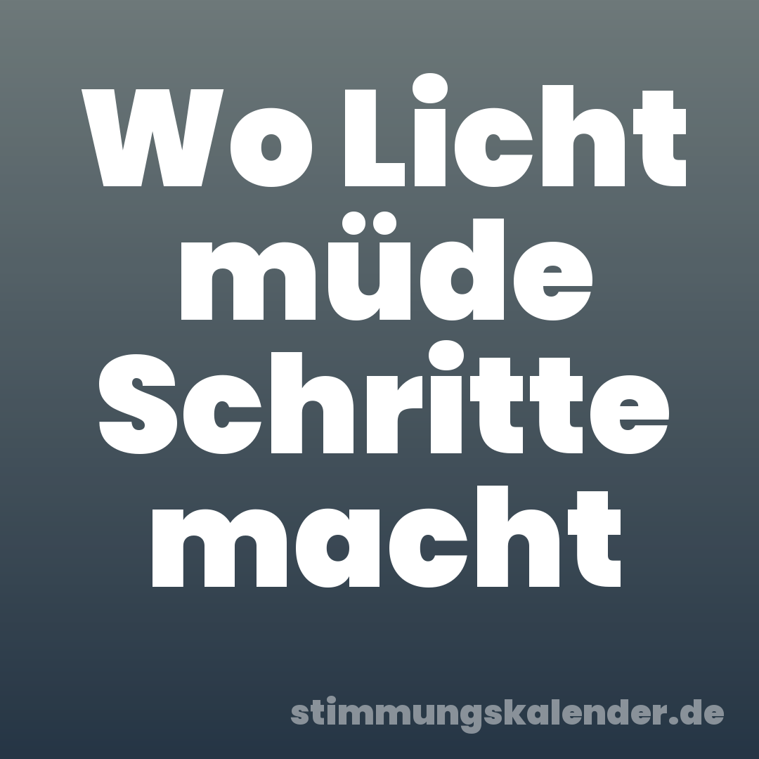 Wo Licht müde Schritte macht