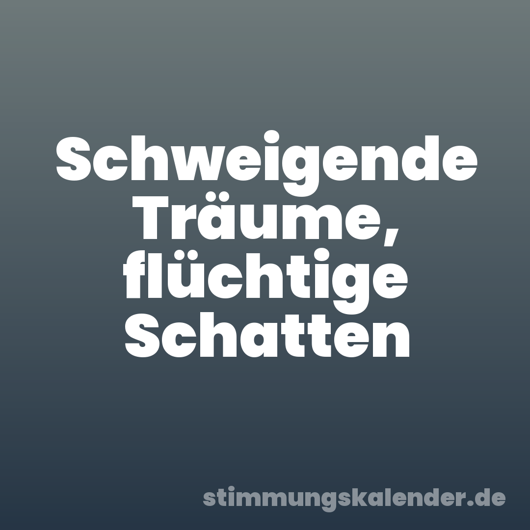 Schweigende Träume, flüchtige Schatten