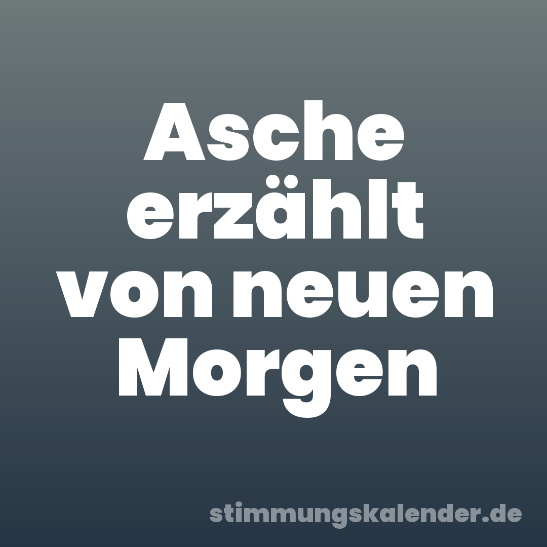 Asche erzählt von neuen Morgen