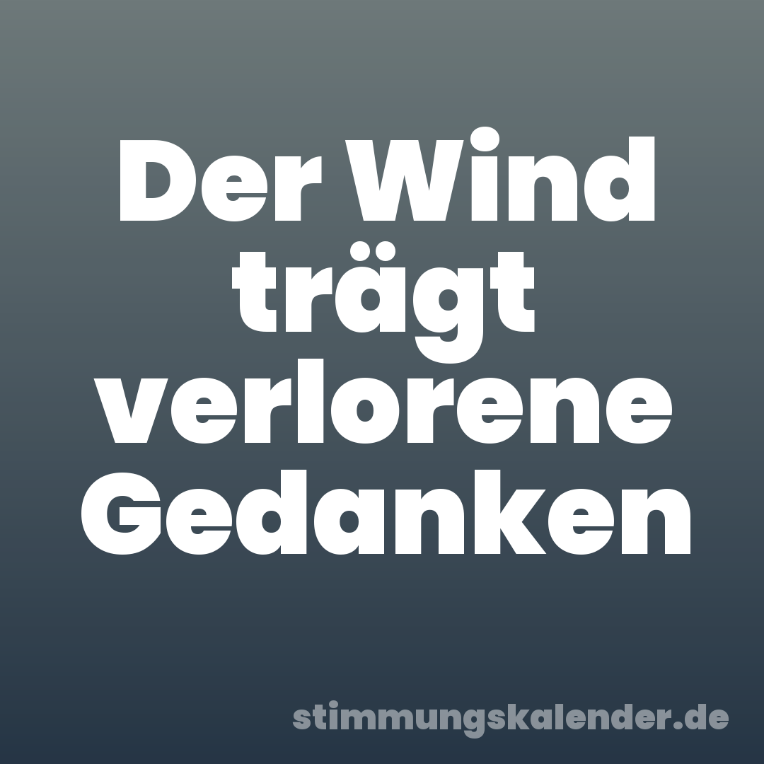 Der Wind trägt verlorene Gedanken