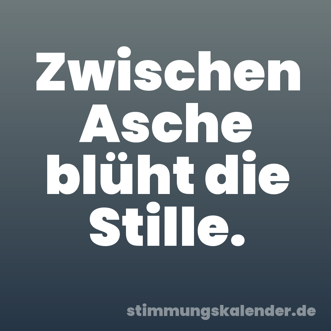 Zwischen Asche blüht die Stille.