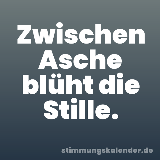 Zwischen Asche blüht die Stille.